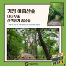 베스트대리점 이미지