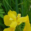 경기도 안성시 안성1동주민센터 이미지