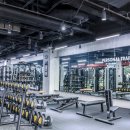 안양 중심 최대규모 휘트니스 클럽인 LIFE FITNESS 트레이너 및 팀장 모집 이미지