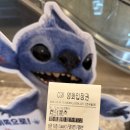 그냥 과식하는 일상 29