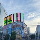 더블유카워시영종도점 | [일본] 시부야 여행 인천베스트웨스턴 호텔 이용후기 BMW 에어포트 서비스 변경된 이용방법알아보기