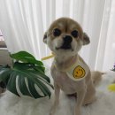 몽스토리 이미지