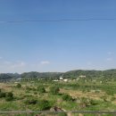 원대부속유치원 | 240513 &#39;신의 직장&#39; 한전 어쩌다… 희망퇴직 러시