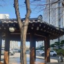 광산구-105 | 광주 광산구 칼 갈아주는 곳 신의 칼 매장 방문후기, 가격정보