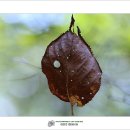 산행길 이미지