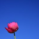 Blue sky 이미지