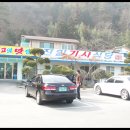 신안자동차 | 신안 임자도 함박산-불갑산-벙산 &amp; 튤립축제 : 2026. 4. 15. 매봉산악회