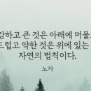 부여미용실 - 부여군 성왕로 181 | 부여미용실