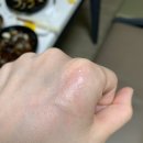 대야원 이미지