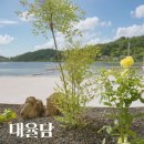 대율담 :: 전주 여행할 때 한 번 쯤 들려볼만한 카페