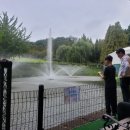 (주)꽃랜드 | 천안 , 아산 억만송이 국화와 함께한 피나클랜드 나들이 (2025 가을꽃 축제)