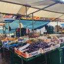 (네덜란드생활) 전자제품 매장은 어디로 갈까? 데카트론은 덤!