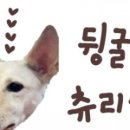 서부산동물메디컬센터 이미지