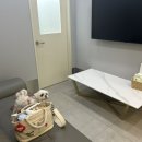 서울동물병원 이미지