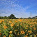 대부도해양본부 이미지