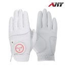 애니 골프 이미지