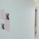 블루버드스튜디오 이미지