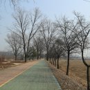 백곡천2 이미지