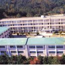 완도중앙초등학교 이미지