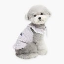 후르츠 봉봉 이미지