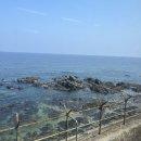 할리스(동해묵호점) | [묵호]바다뷰가 최고였던 동해비치호텔 3월 1박 후기_내돈내산(하평해변 우회로)