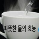 SG피트니스 네이버블로그