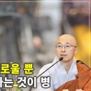 [어록9]🌻반듯하게 좌선 명상하는 것이 병 이 마음이 이미지