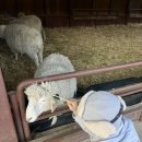 한아름목장2 이미지