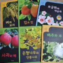 자연내음 이미지