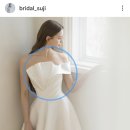 수지투어주 | 브라이덜 수지 드레스 투어 후기 / 니콜스포사 드레스 투어 후기