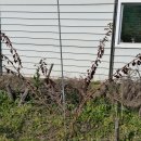 노천농장 이미지