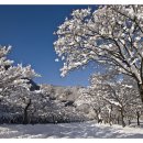 고향 - 서구 | 고향