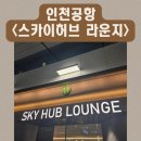 인천공항 스카이허브라운지 동편 후기/대한항공 120 현대카드