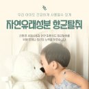 하우스위프 이미지