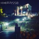 더메모리550