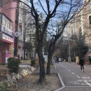 꿈마을 상가옆 네이버블로그