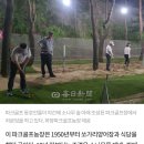 핑크파크 이미지