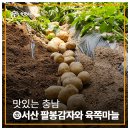 서산농협 팔봉지점 | 맛있는 충남 ⑫서산 팔봉감자와 육쪽마늘