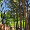 감천리마을관리사회적협동조합 이미지