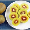 서울라이프치과의원 이미지