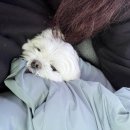 신남세차장 이미지