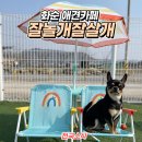 잘놀개잘살개 이미지