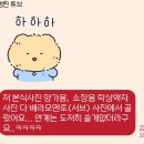 본식스냅 전문업체 베라모멘토 예약후기 | 감성 담은 사진과 대표 보정 포인트 총정리 (내돈내산)