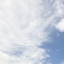 스파르타 | 잇올 스파르타 솔직후기 #3 /약대 합격