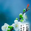 오늘의한의원 이미지