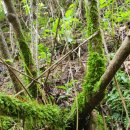 유곡농장 이미지