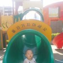 디파일론
