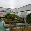 힘찬하루정형외과 네이버블로그