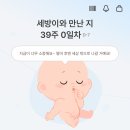 대로2-39 | 임신 39주 증상 총정리 배크기 변화 출산 전 몸 변화 후기