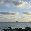 대왕암공원 캠핑장 | 울산 대왕암공원오토캠핑장 31번후기